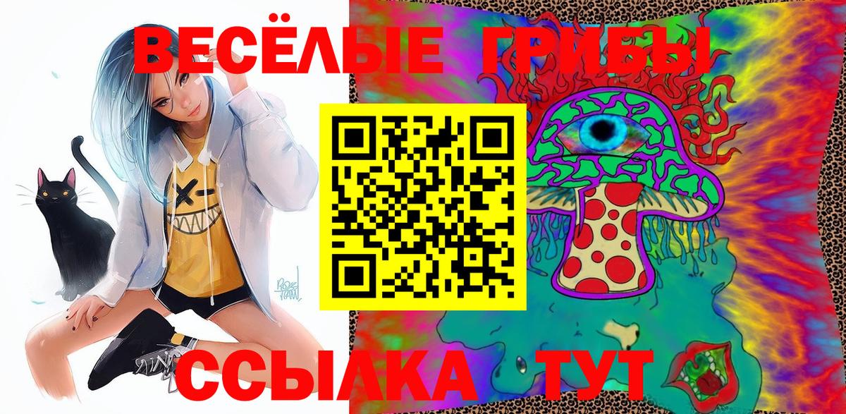 хочу   Псилоцибиновые грибы Psilocybe  Вход с VPN  Сургут 